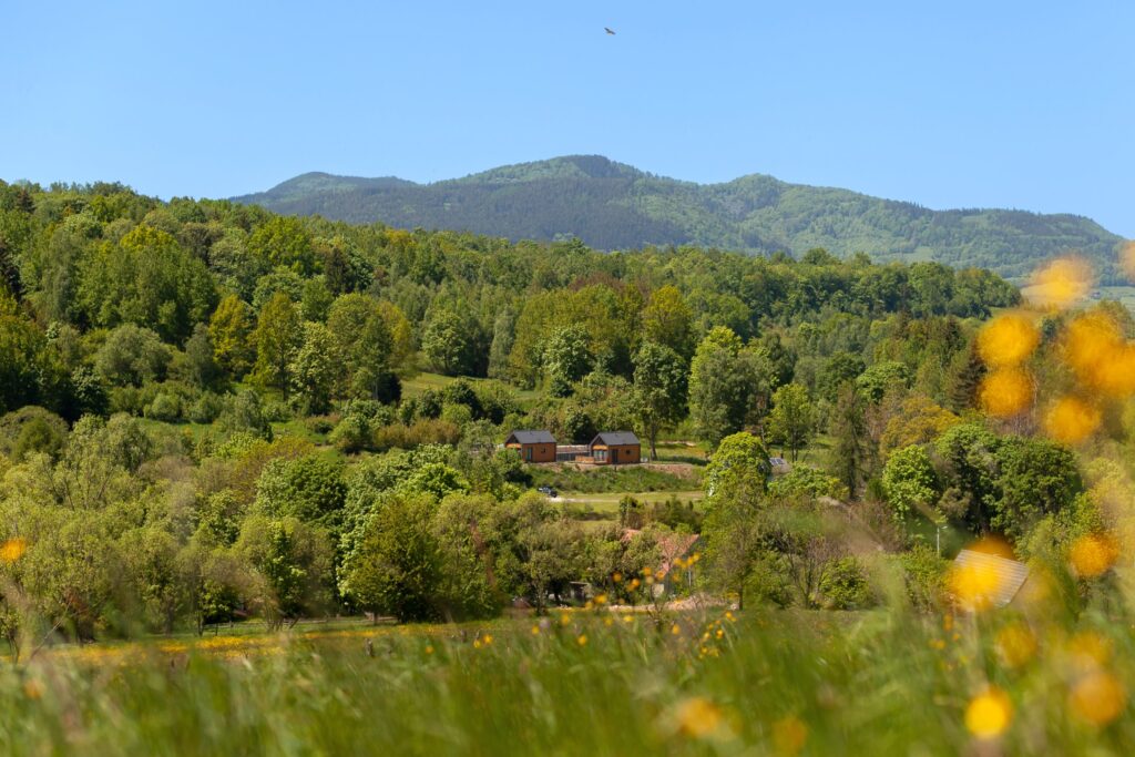 widok z domku
